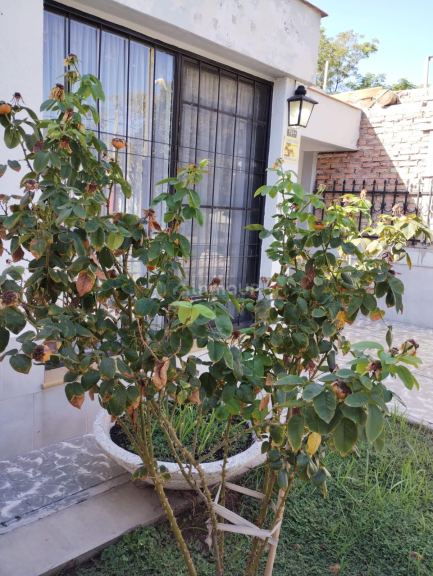 Casa en Venta en Las Heras, Mendoza