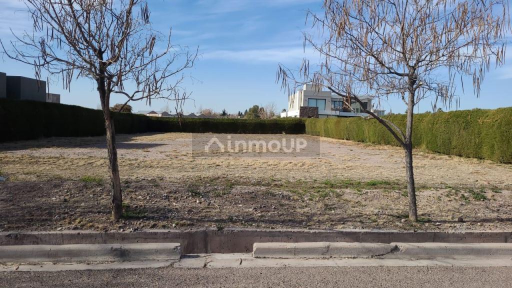 Lote en Venta en Lujan de Cuyo, Mendoza