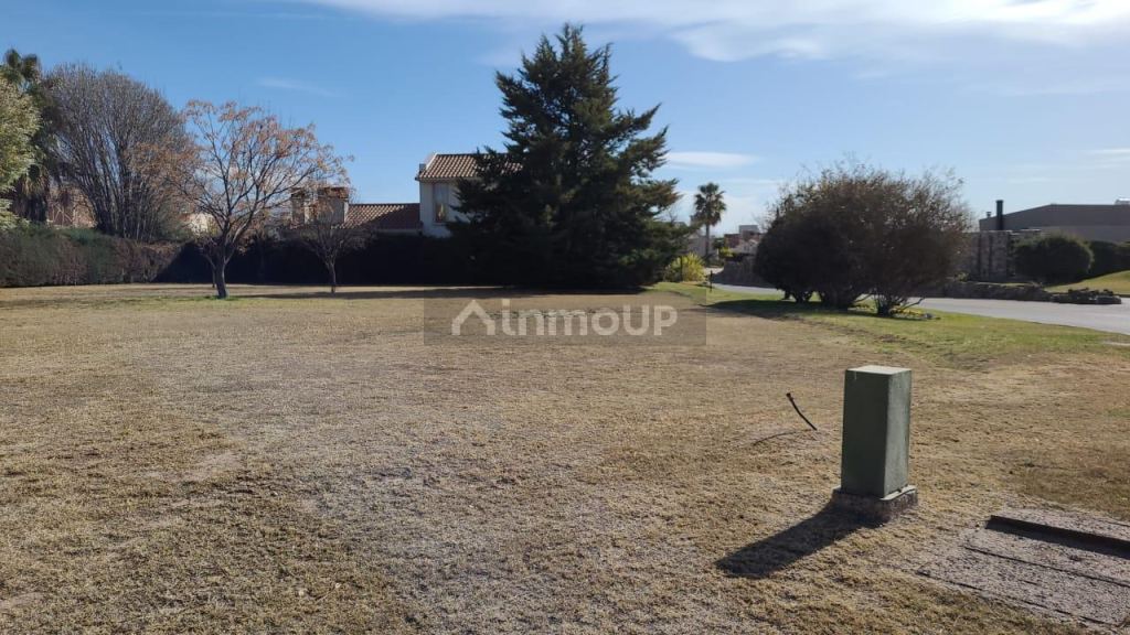 Lote en Venta en Lujan de Cuyo, Mendoza