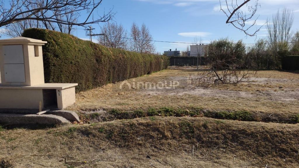 Lote en Venta en Lujan de Cuyo, Mendoza