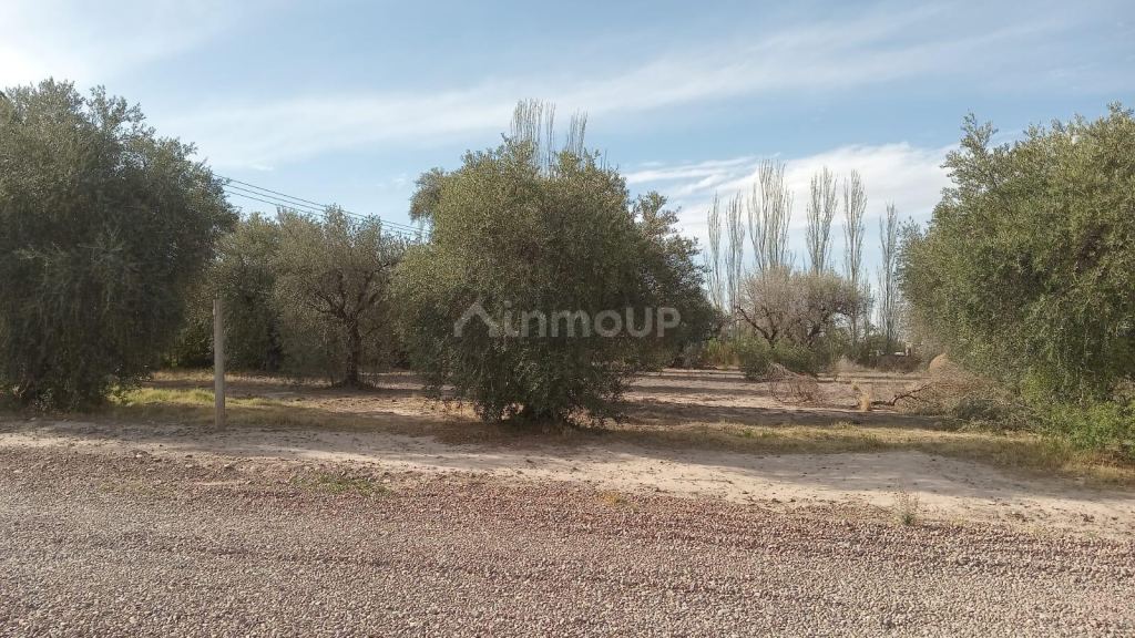 Lote en Venta en Maipu, Mendoza