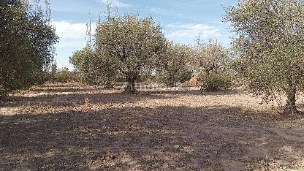 Lote en Venta en Maipu, Mendoza
