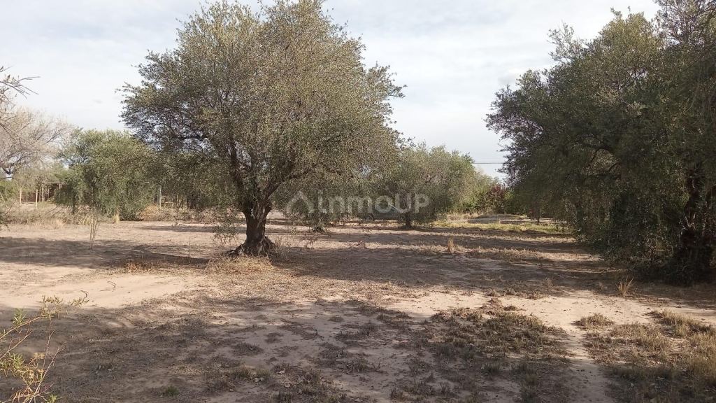 Lote en Venta en Maipu, Mendoza