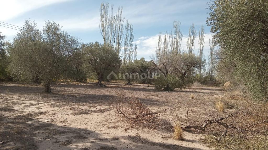 Lote en Venta en Maipu, Mendoza