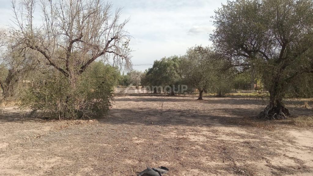 Lote en Venta en Maipu, Mendoza