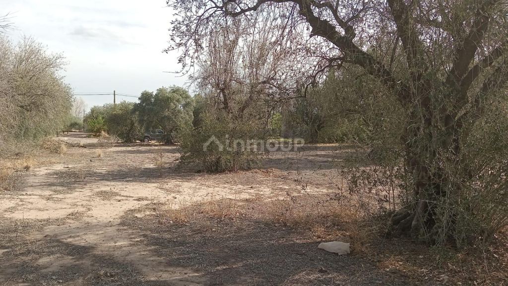 Lote en Venta en Maipu, Mendoza