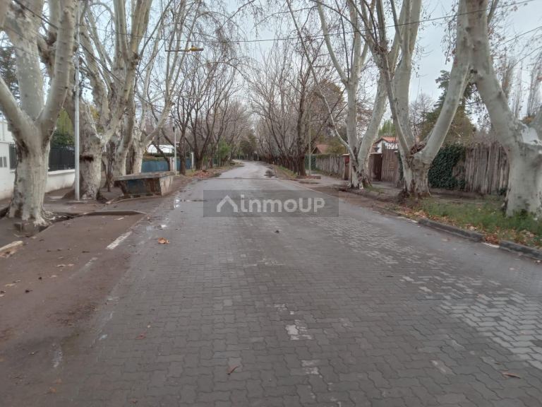 Lote en Venta en Lujan de Cuyo, Mendoza