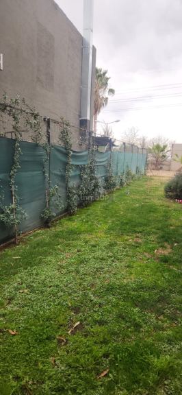 Casa en Alquiler en Lujan de Cuyo, Mendoza