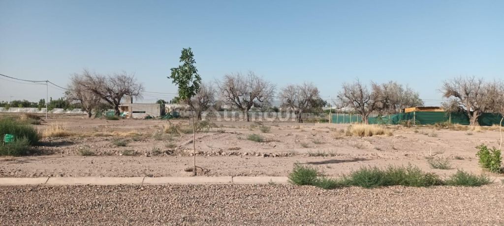 Lote en Venta en Lujan de Cuyo, Mendoza