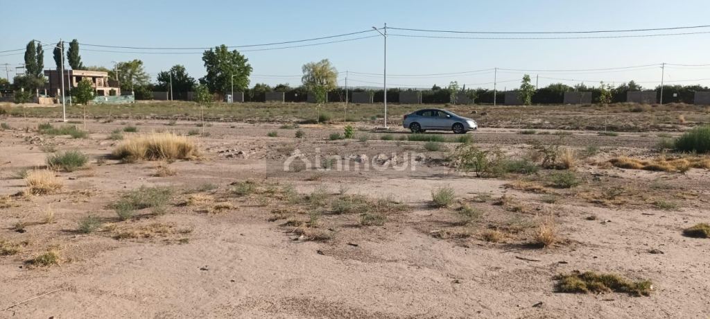 Lote en Venta en Lujan de Cuyo, Mendoza
