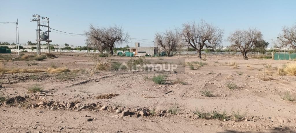 Lote en Venta en Lujan de Cuyo, Mendoza