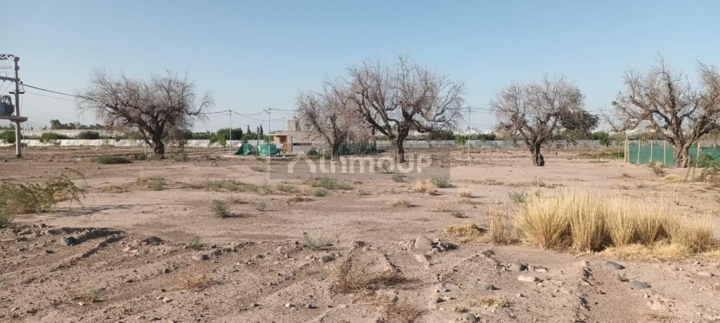 Lote en Venta en Lujan de Cuyo, Mendoza