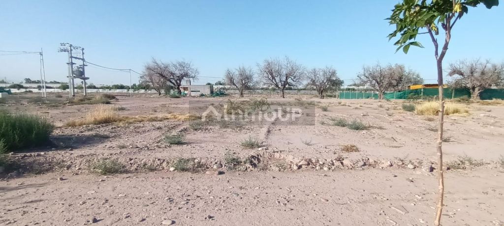 Lote en Venta en Lujan de Cuyo, Mendoza