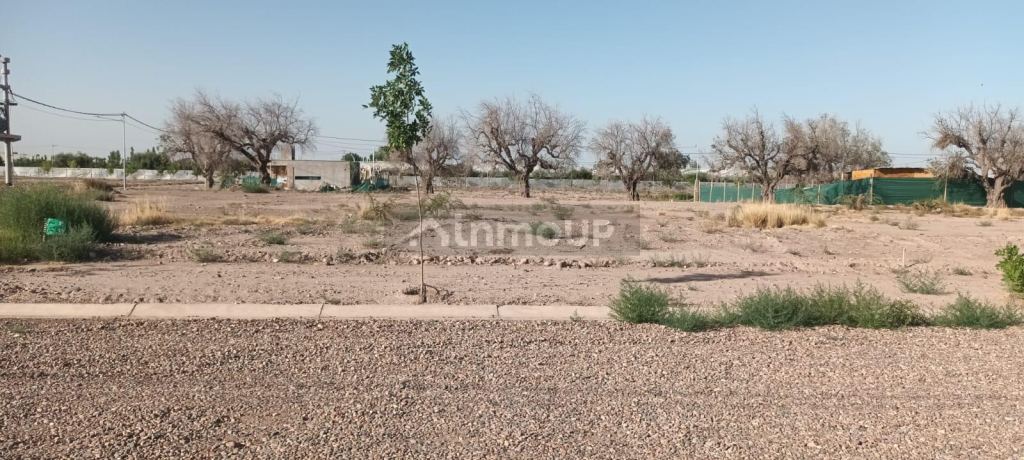 Lote en Venta en Lujan de Cuyo, Mendoza