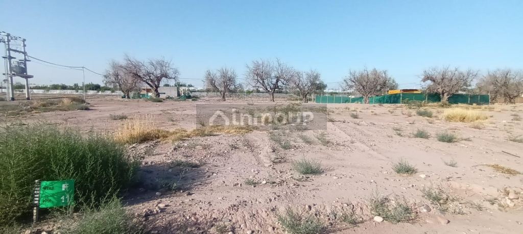 Lote en Venta en Lujan de Cuyo, Mendoza