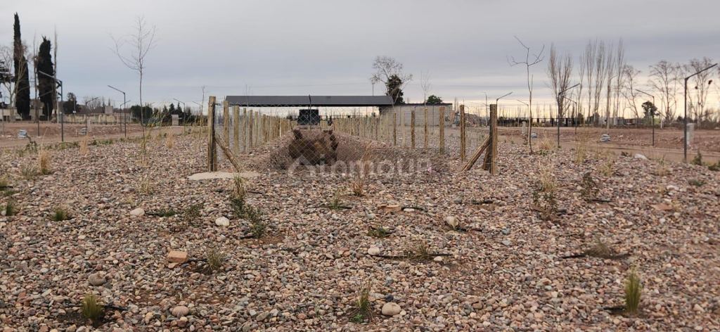 Lote en Venta en Lujan de Cuyo, Mendoza - USD 30.000 | Inmoup - 7