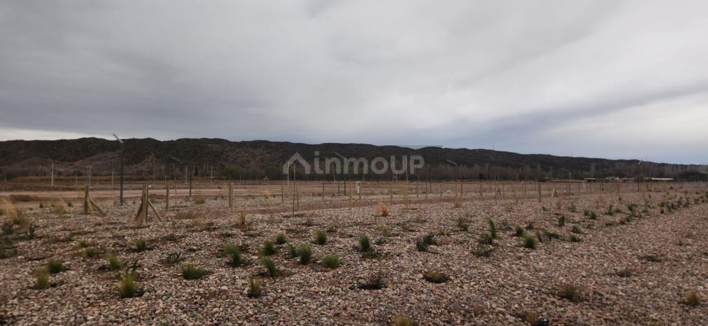 Lote en Venta en Lujan de Cuyo, Mendoza - USD 30.000 | Inmoup - 13
