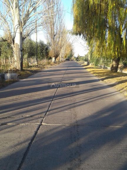 Finca en Venta en Maipu, Mendoza