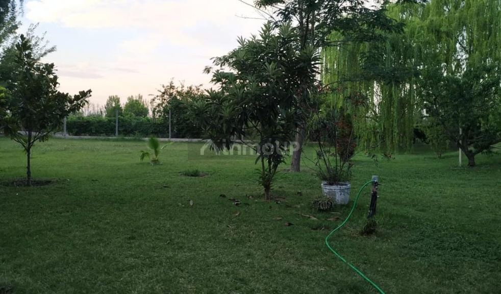 Casa Quinta en Venta en San Martin, Mendoza