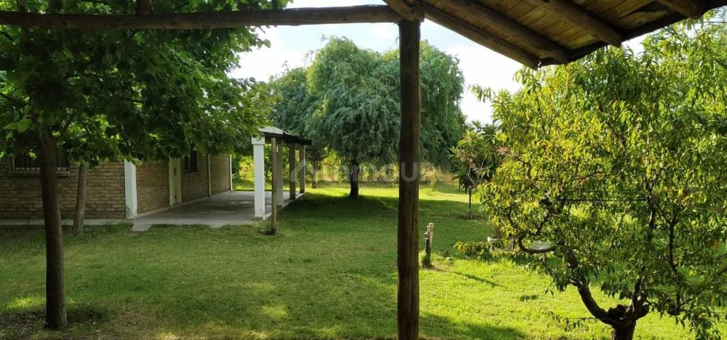 Casa Quinta en Venta en San Martin, Mendoza