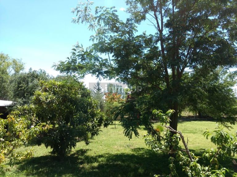 Casa Quinta en Venta en San Martin, Mendoza
