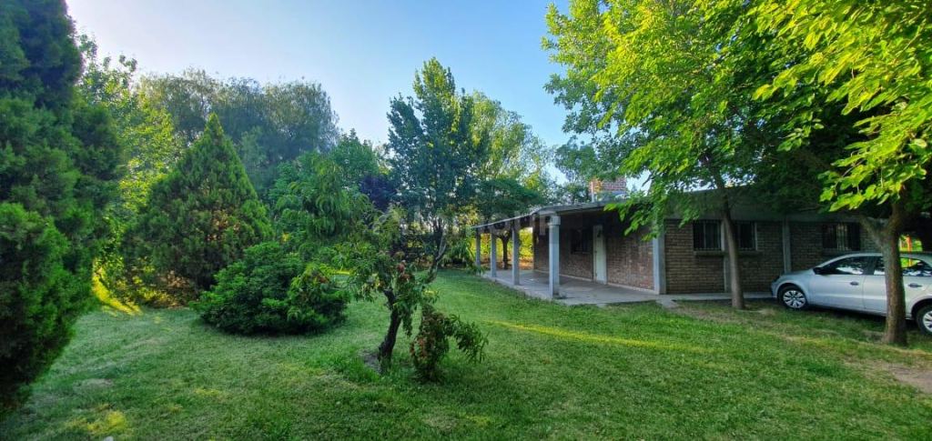 Casa Quinta en Venta en San Martin, Mendoza
