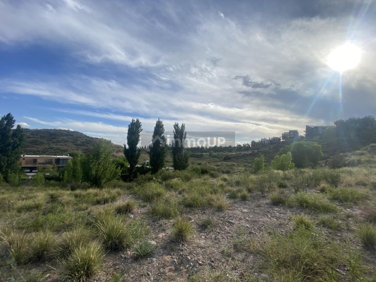 Terreno en Venta en Lujan de Cuyo, Mendoza