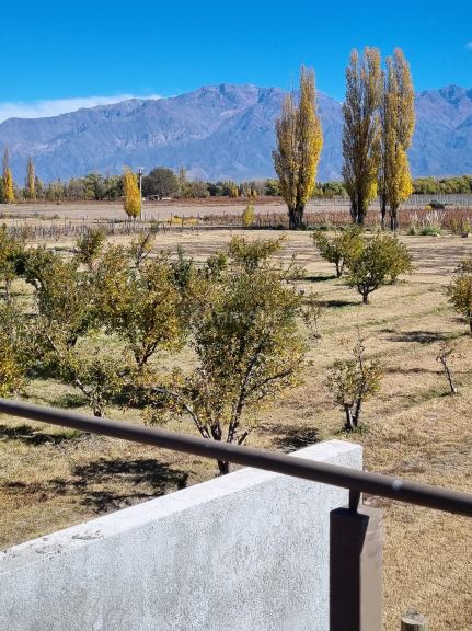 Duplex en Alquiler en San Carlos, Mendoza