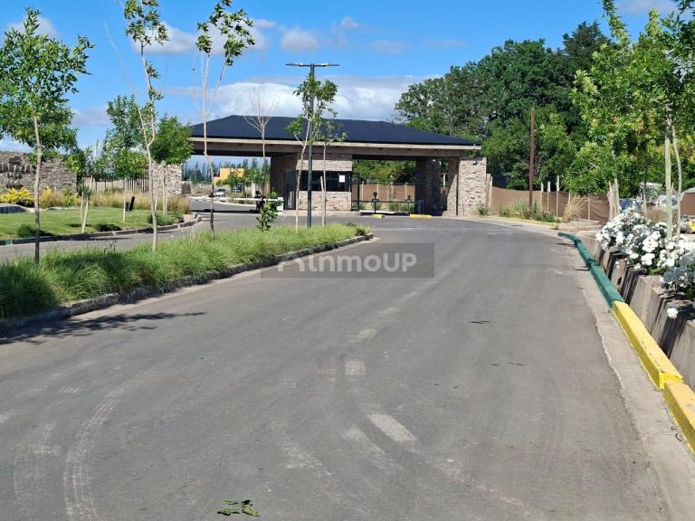 Lote en Venta en Lujan de Cuyo, Mendoza