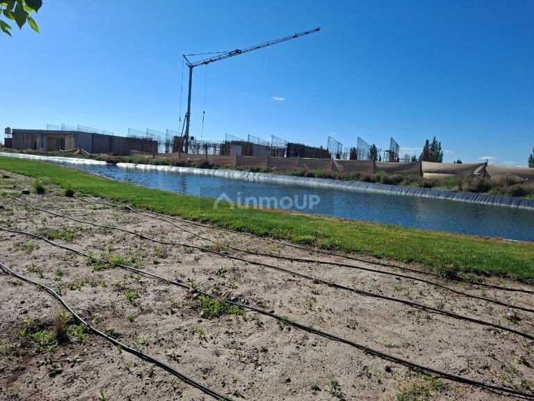Lote en Venta en Lujan de Cuyo, Mendoza