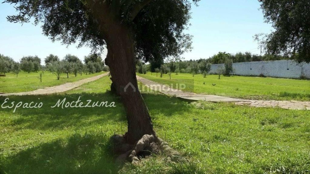 Casa en Alquiler en Guaymallen, Mendoza