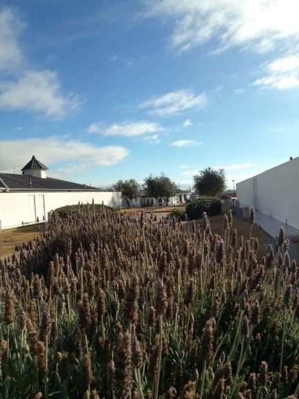 Casa en Alquiler en Guaymallen, Mendoza