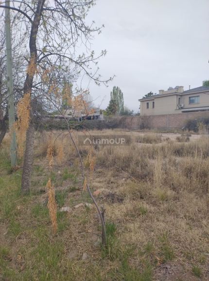 Lote en Venta en Lujan de Cuyo, Mendoza