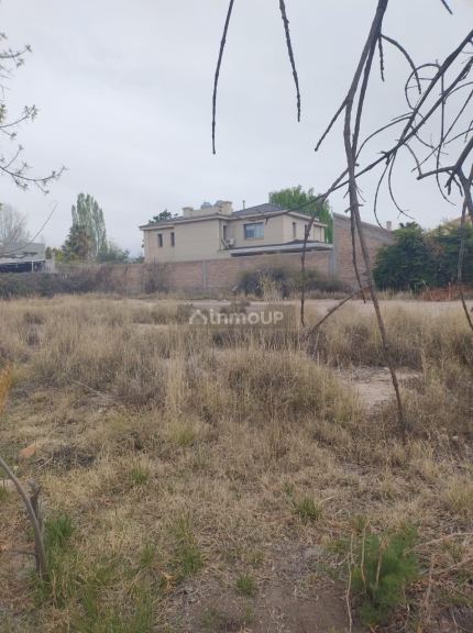 Lote en Venta en Lujan de Cuyo, Mendoza