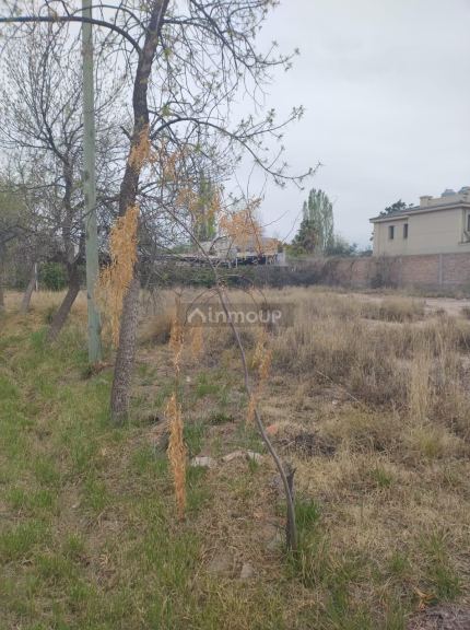 Lote en Venta en Lujan de Cuyo, Mendoza