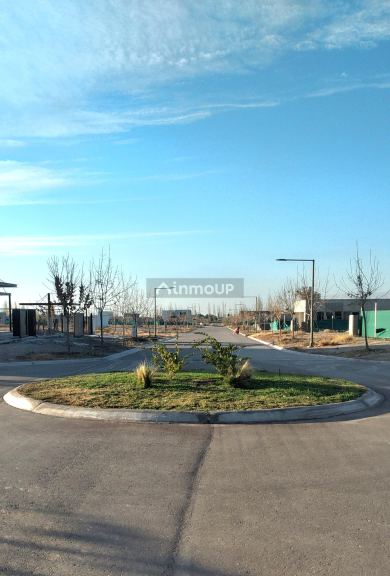 Lote en Venta en Lujan de Cuyo, Mendoza
