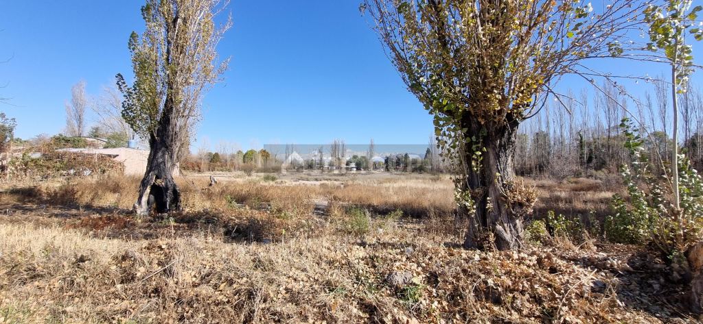 Lote en Venta en Lujan de Cuyo, Mendoza