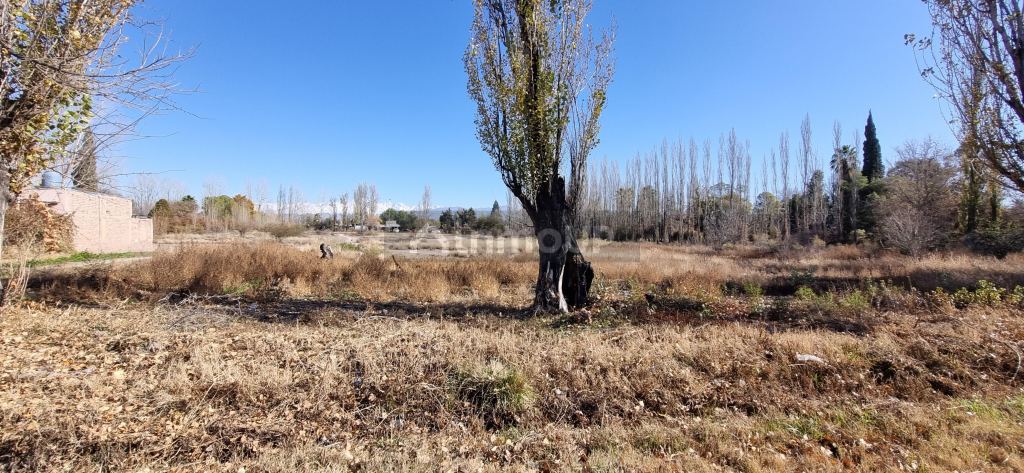 Lote en Venta en Lujan de Cuyo, Mendoza