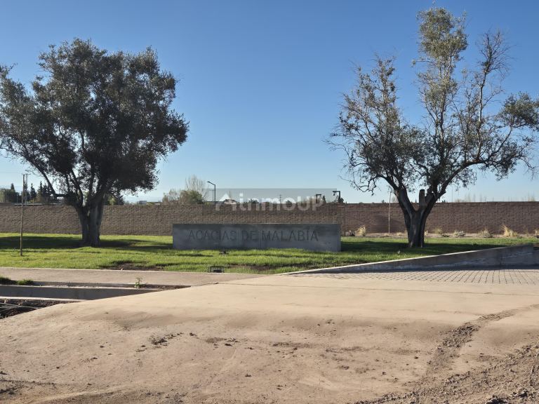 Lujan de Cuyo Malabia ad Lar de Boeso, Lar de Malabia, La Luisa