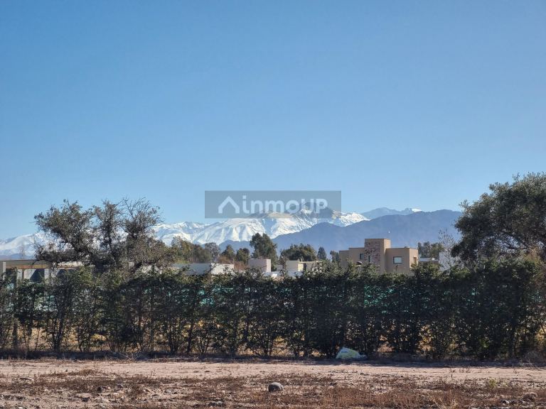 Lote en Venta en Lujan de Cuyo, Mendoza