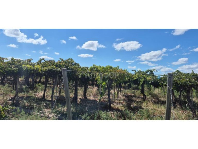 Finca en Venta en Capital, San Juan