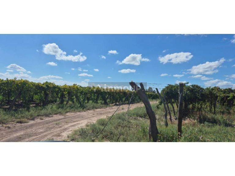 Finca en Venta en Capital, San Juan