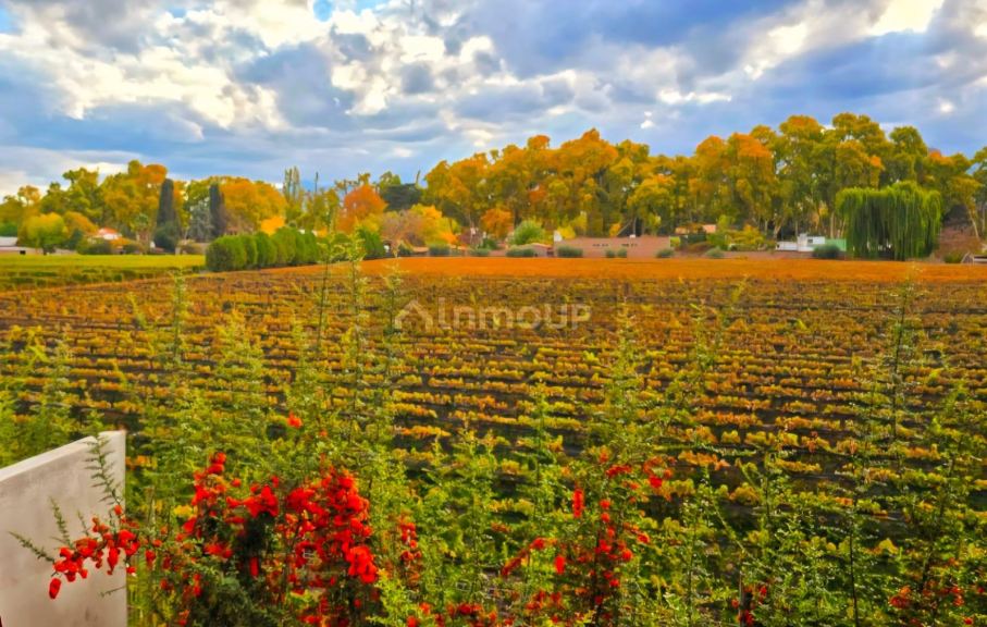 Duplex en Venta en Lujan de Cuyo, Mendoza