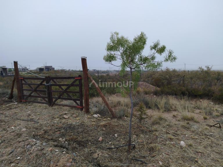 Lote en Venta en Lujan de Cuyo, Mendoza