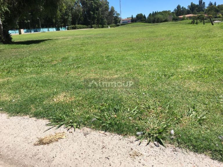 Lote en Venta en Juana Koslay, San Luis