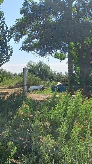 Finca en Venta en Maipu, Mendoza