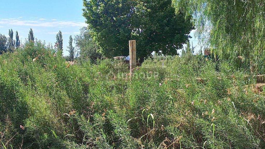 Finca en Venta en Maipu, Mendoza