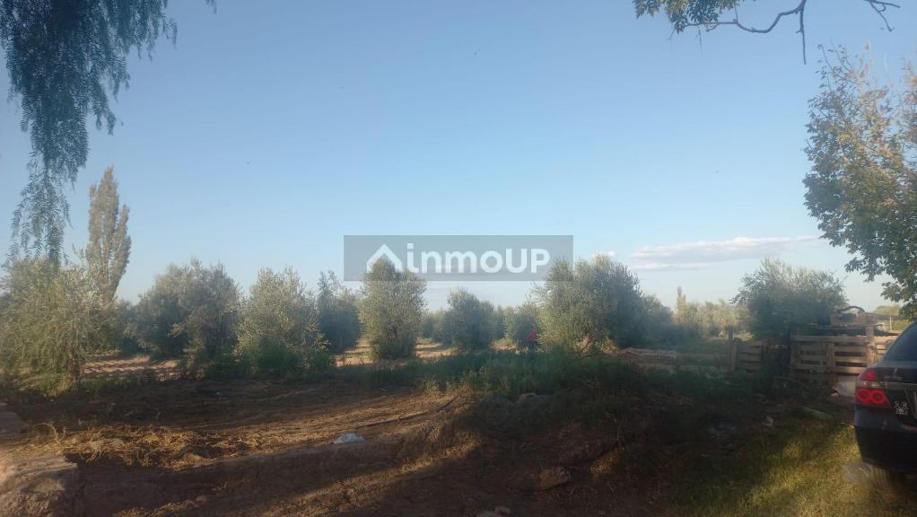 Finca en Venta en Maipu, Mendoza