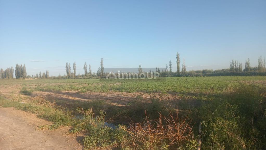 Finca en Venta en Maipu, Mendoza