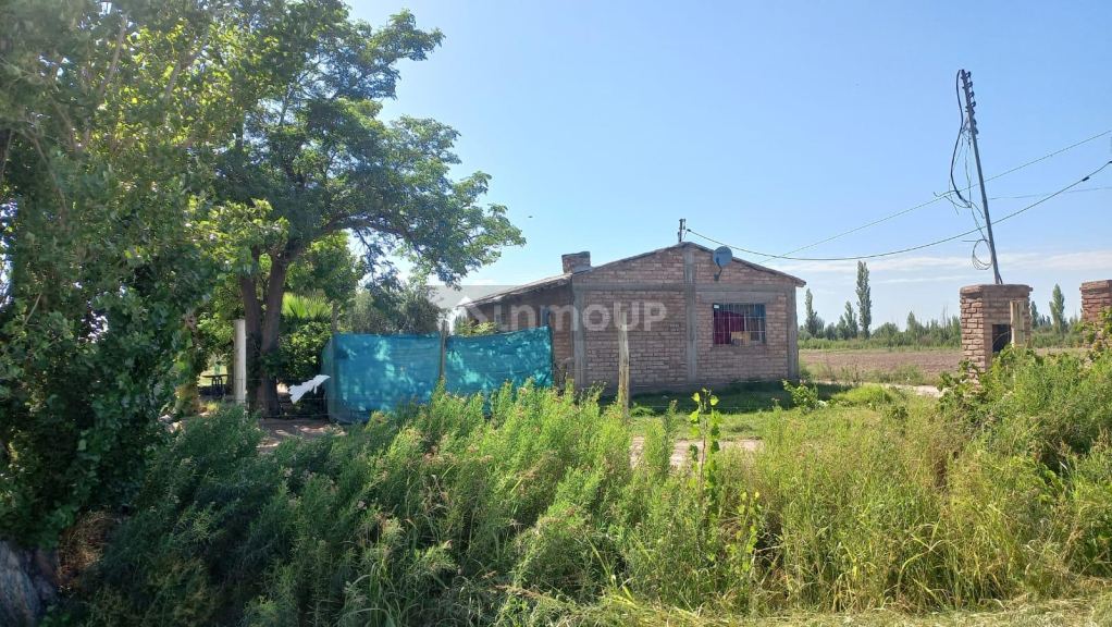 Finca en Venta en Maipu, Mendoza